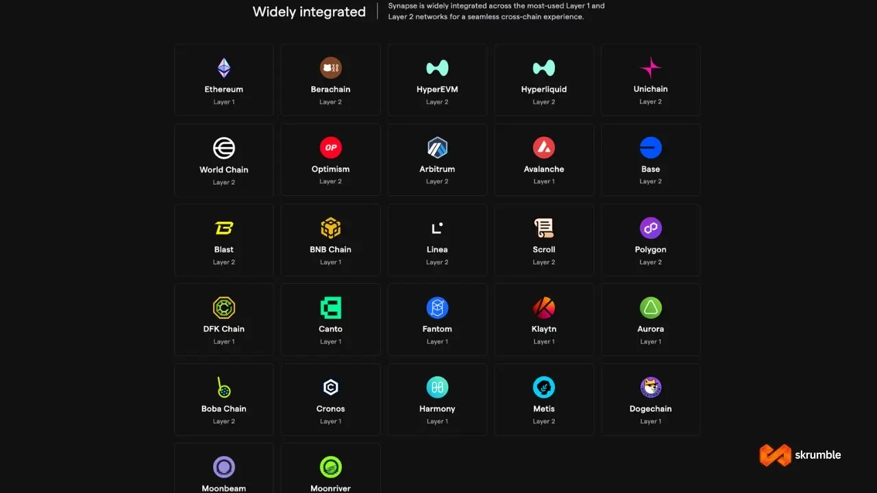 supported networks supported by Synapse Protocol